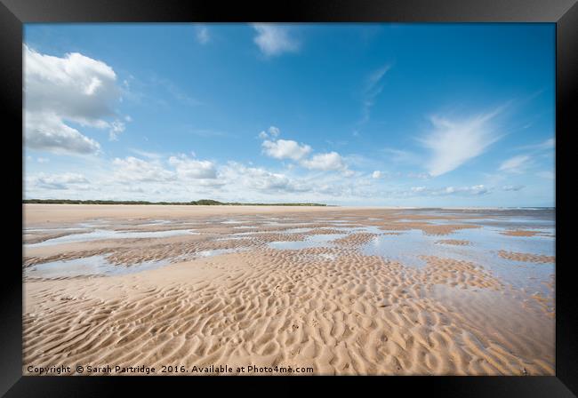 Far as the eye can see, Holkham to Burnham Overy Framed Print by Sarah Partridge