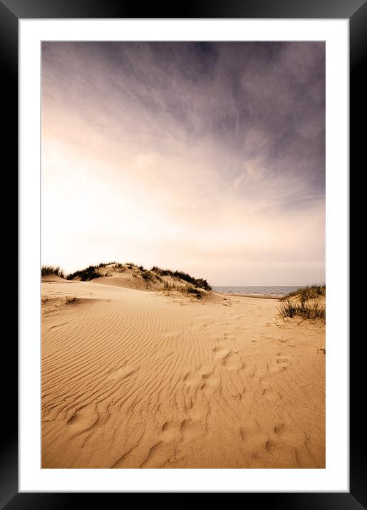 Race you to the sea! Holkham, Norfolk Framed Mounted Print by Sarah Partridge