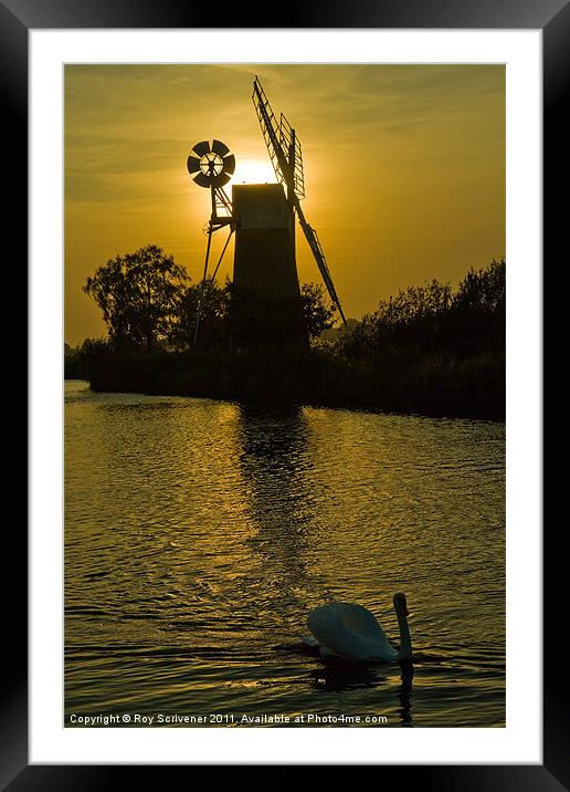 Turf Fen at twilight Framed Mounted Print by Roy Scrivener