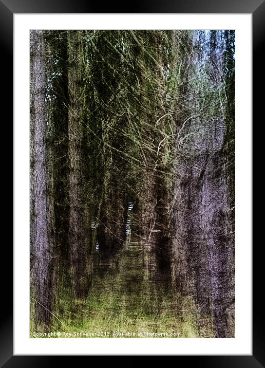 Into the Enchanted Forest Framed Mounted Print by Roy Scrivener