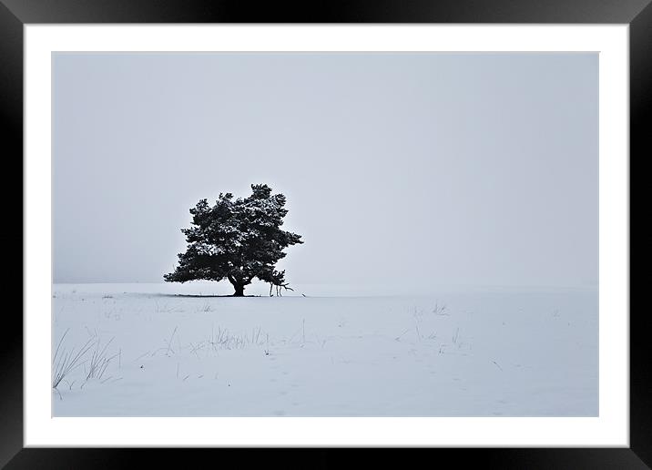 Lonely this Christmas Framed Mounted Print by Chris Owen