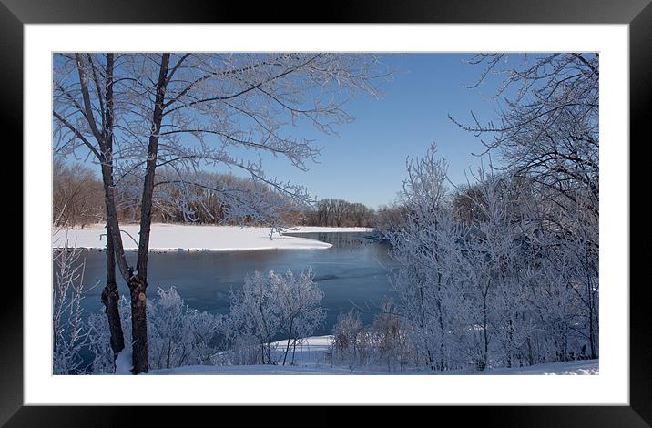 Winter Bloom Series 8 Framed Mounted Print by John Pipes