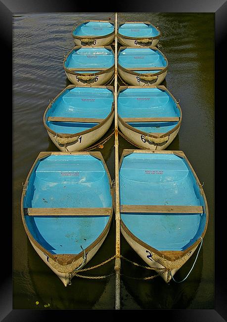 Blue Boats Framed Print by jim jennings