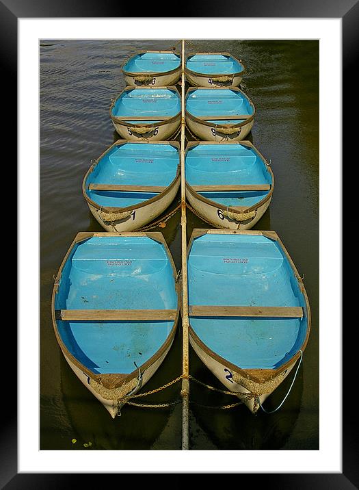 Blue Boats Framed Mounted Print by jim jennings