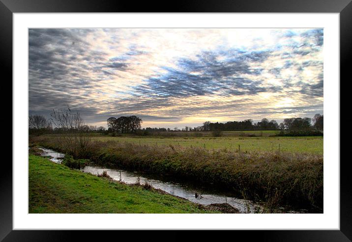 Norfolk Meadow Framed Mounted Print by Gypsyofthesky Photography