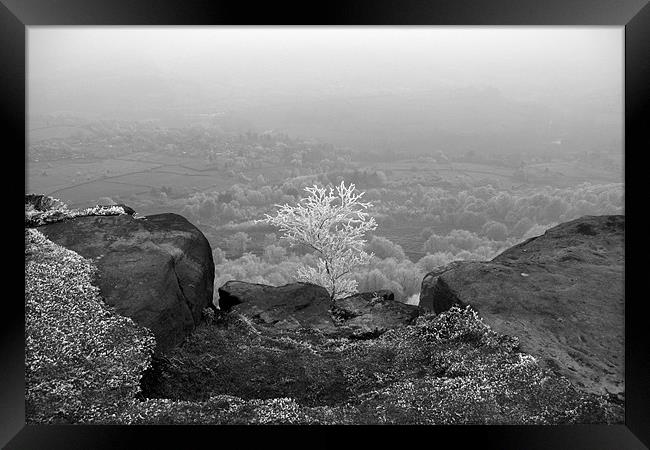 All Alone Framed Print by Phil Swindin