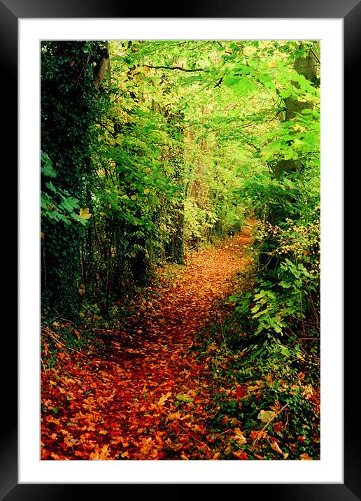 The Autumn Road Framed Mounted Print by Simon Joshua Peel