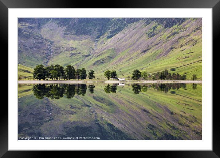 Trees and mountainside reflected in the surface of Buttermere la Framed Mounted Print by Liam Grant