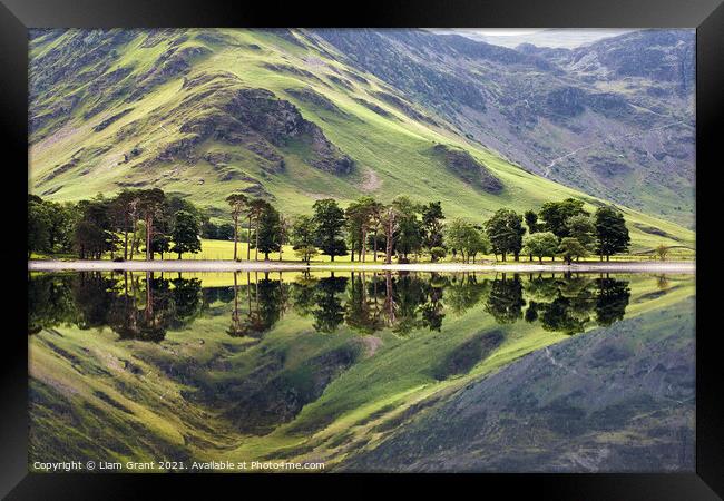 Trees and mountainside reflected in the surface of Buttermere la Framed Print by Liam Grant