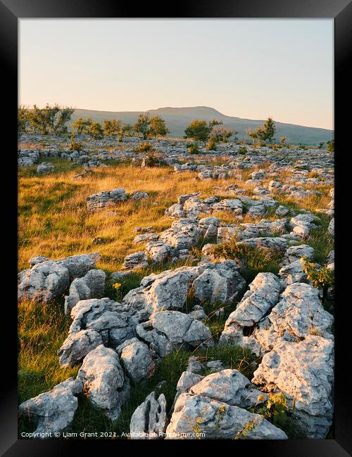 Southerscales Scars limestone pavement Framed Print by Liam Grant