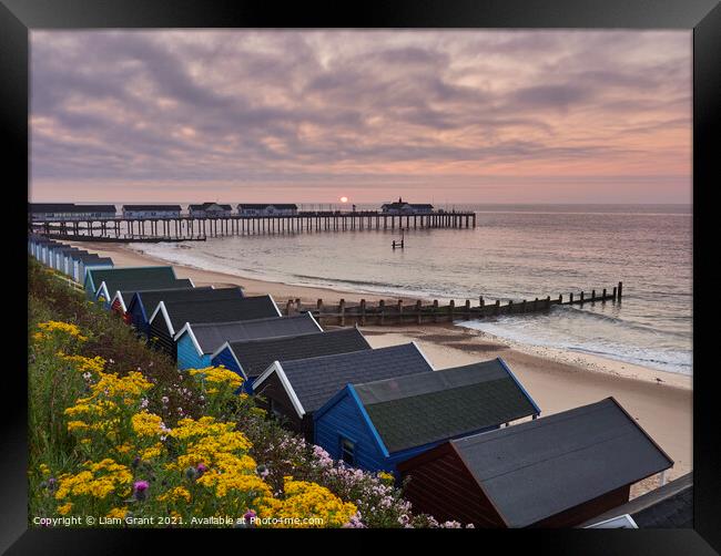 UK, Suffolk, Southwold, Wild flowers, beach huts and sunrise over the pier Framed Print by Liam Grant