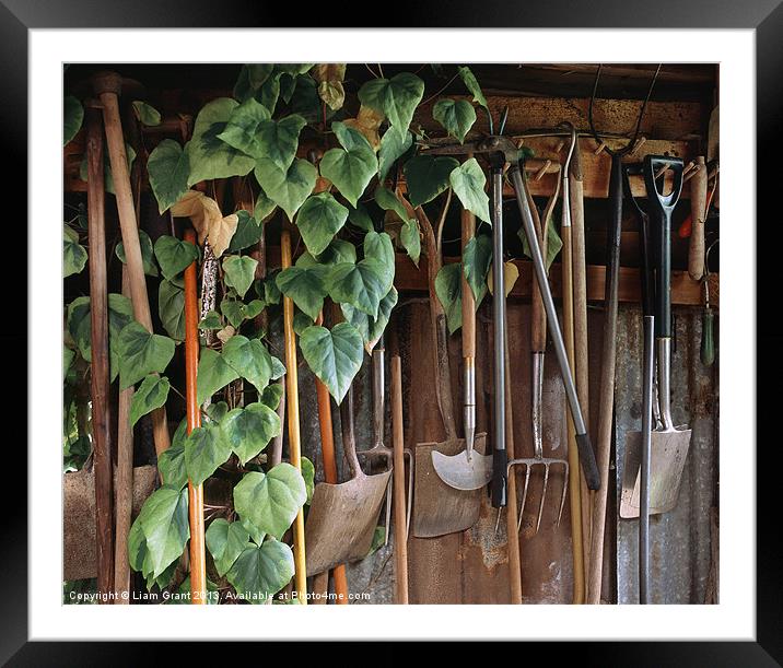 Tools / Garden Shed / Essex Framed Mounted Print by Liam Grant