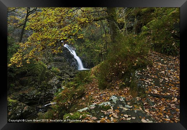Pistyll y Cain Falls/North Wales Framed Print by Liam Grant