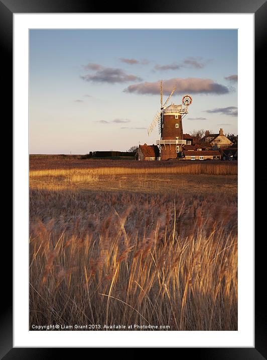 Reed beds at sunset with Cley Mill beyond. Framed Mounted Print by Liam Grant