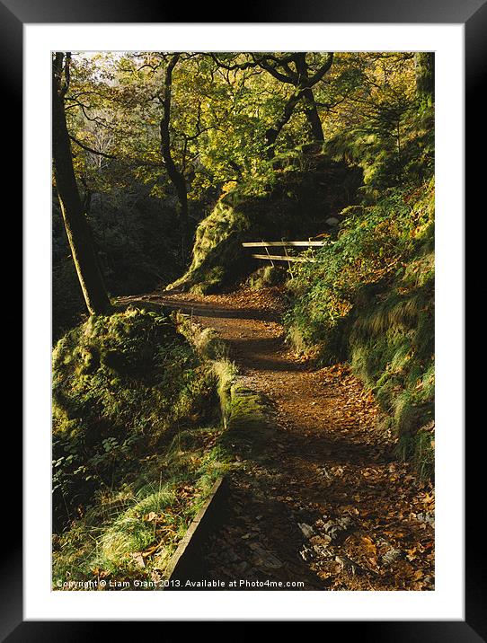 Footpaths through Autumnal woodland at Aira Force. Framed Mounted Print by Liam Grant