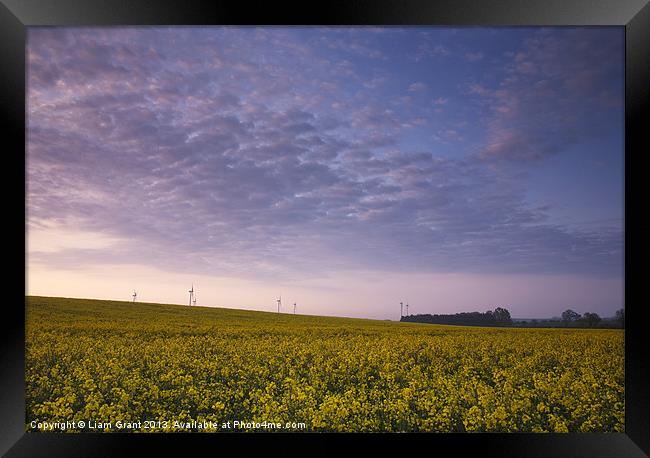 Oilseed rape field and wind farm at sunrise. Framed Print by Liam Grant