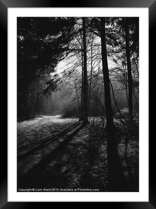 Sun light through mist. Thetford, Norfolk, UK. Framed Mounted Print by Liam Grant