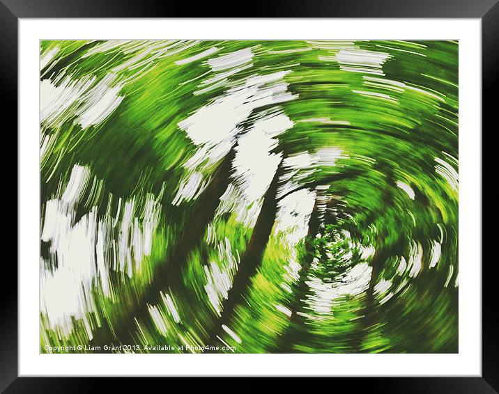 Tree swirl. Norfolk, UK. Framed Mounted Print by Liam Grant