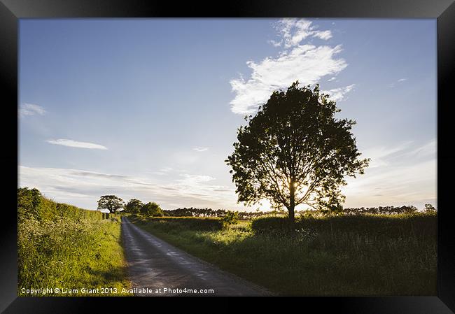 Evening sunlight over a remote country road. East  Framed Print by Liam Grant