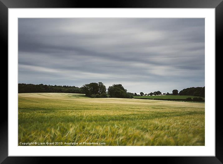 Evening clouds sweep over a wind blown barley fiel Framed Mounted Print by Liam Grant