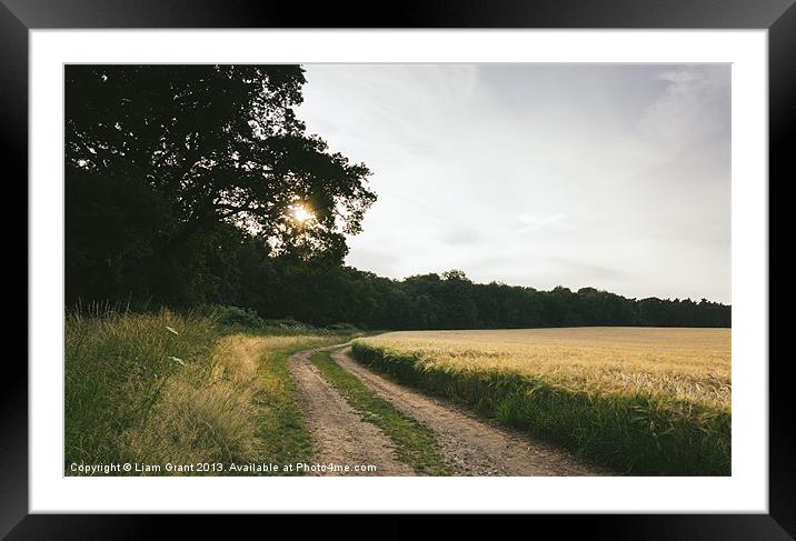 Sunset over barley field and track. Framed Mounted Print by Liam Grant