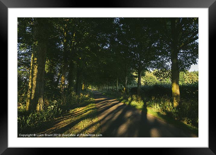 Evening sunlight on a remote treelined country lan Framed Mounted Print by Liam Grant