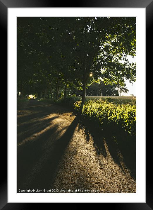Evening sunlight on a remote treelined country lan Framed Mounted Print by Liam Grant