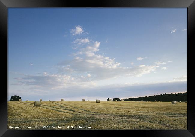 Field of round straw bales at sunset. Framed Print by Liam Grant