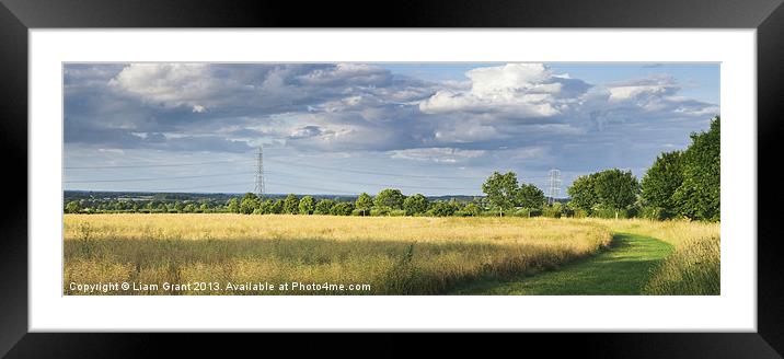 Track beside treelined Rapeseed field at sunset. Framed Mounted Print by Liam Grant