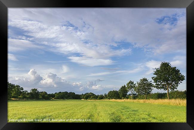 Evening sky over rural grassland. Norfolk, UK. Framed Print by Liam Grant