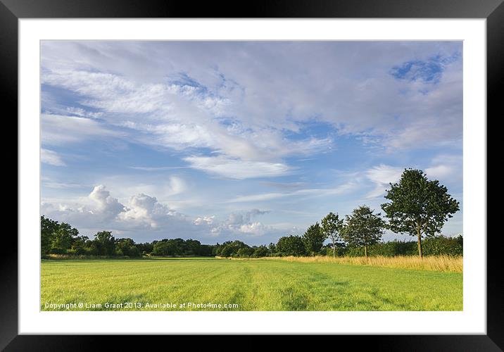 Evening sky over rural grassland. Norfolk, UK. Framed Mounted Print by Liam Grant