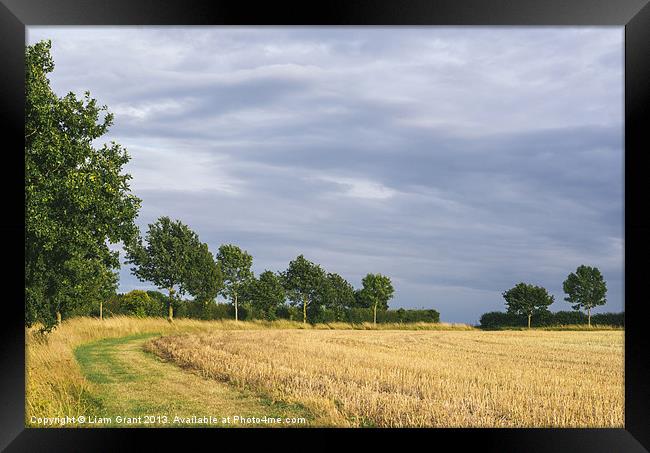 Rainclouds over treelined stubbled field. Framed Print by Liam Grant