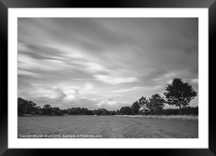 Dramatic windswept trees and sky. Framed Mounted Print by Liam Grant