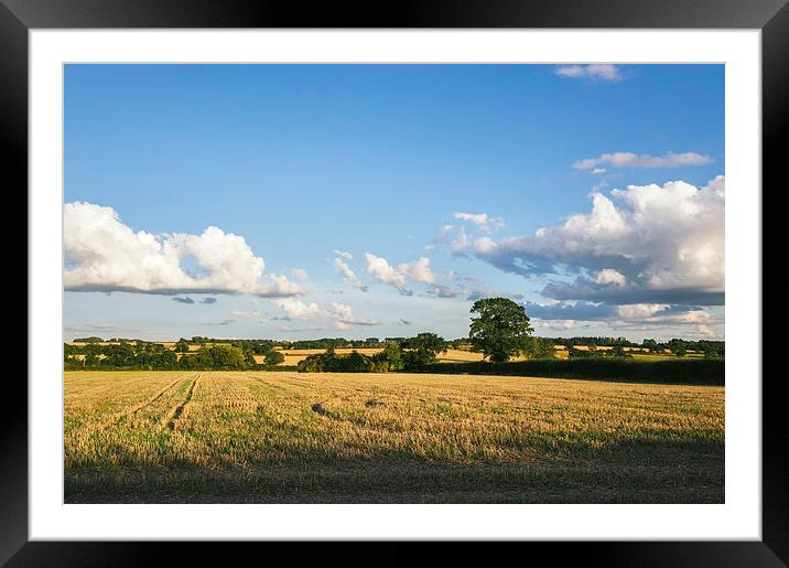Evening light over rural countryside. Framed Mounted Print by Liam Grant