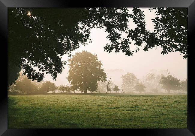 Sunrise burning through heavy fog over countryside Framed Print by Liam Grant