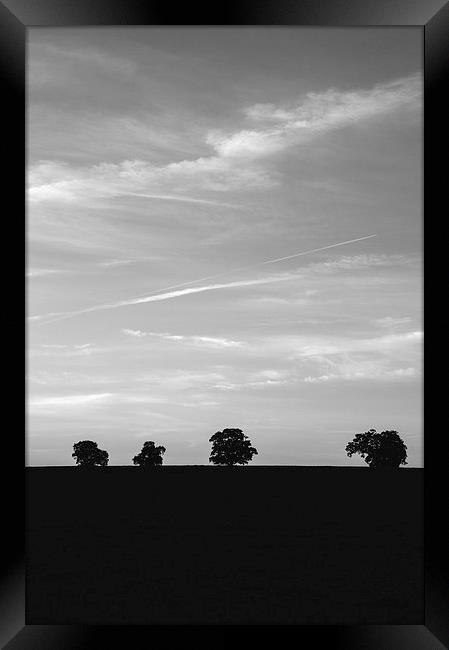 Trees on the horizon below a twilight evening sky. Framed Print by Liam Grant