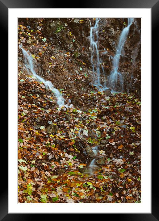 Waterfall and autumnal leaves near Brothers Water. Framed Mounted Print by Liam Grant