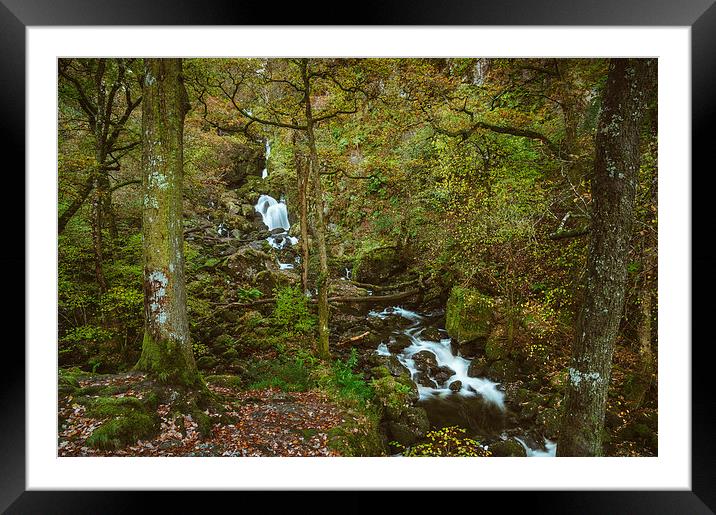 Deciduous woodland and Lodore Falls Waterfall. Framed Mounted Print by Liam Grant