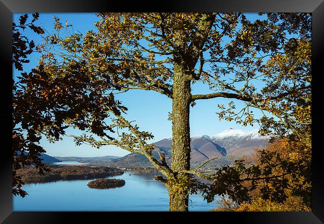 View over Derwent Water to Keswick and Skiddaw. Framed Print by Liam Grant