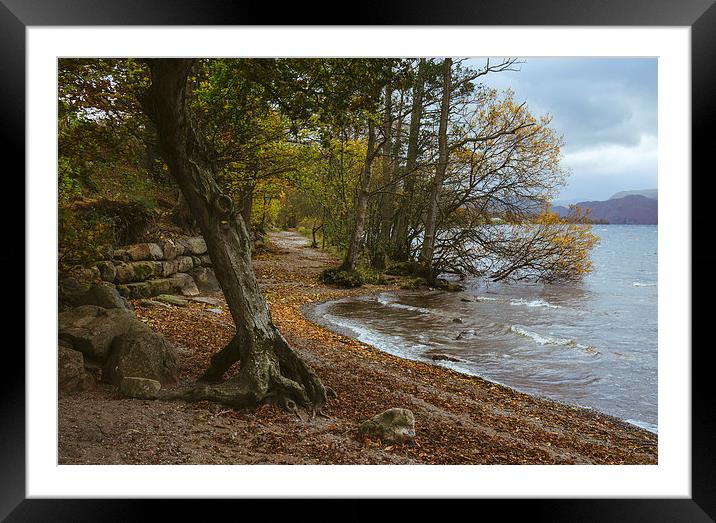Exposed tree roots and waves on Ullswater near Poo Framed Mounted Print by Liam Grant