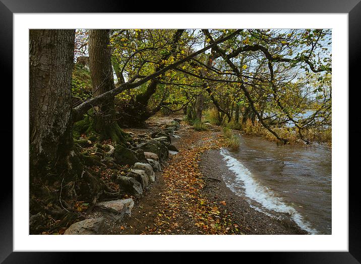 Exposed tree roots and waves on Ullswater near Poo Framed Mounted Print by Liam Grant