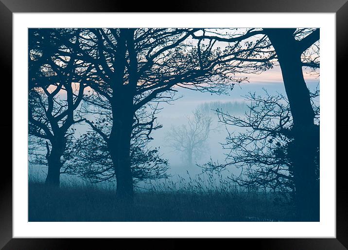 Distant tree in fog. Norfolk, UK. Framed Mounted Print by Liam Grant