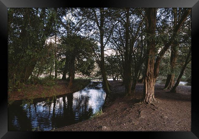 Weir in woodland. Framed Print by Liam Grant