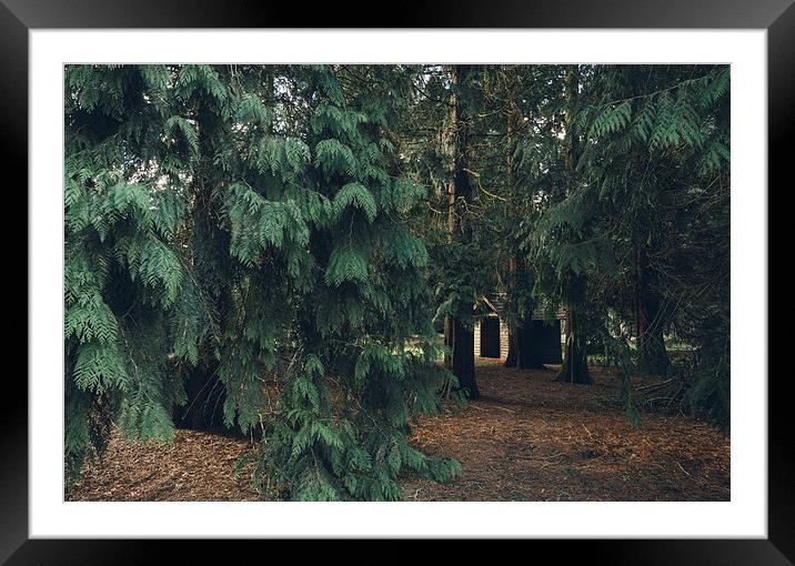 Wooden hut in woodland. Framed Mounted Print by Liam Grant