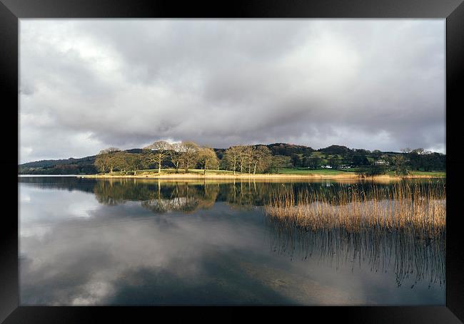 Sunlight and reflections on Esthwaite Water. Framed Print by Liam Grant