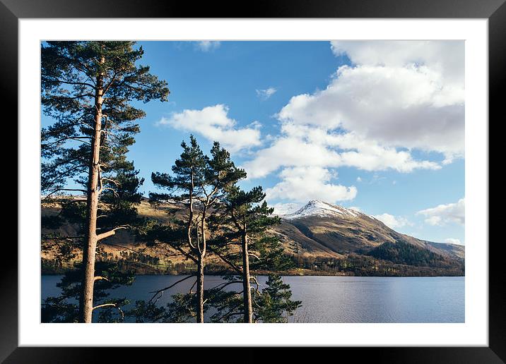 Sunlit trees on the shore of Thirlmere. Framed Mounted Print by Liam Grant