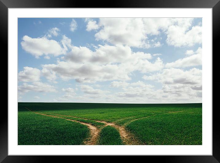 Tracks in a green field below a cloudy blue sky. Framed Mounted Print by Liam Grant