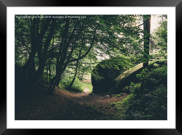 Trees at Black Rocks, Derbyshire, UK. Framed Mounted Print by Liam Grant