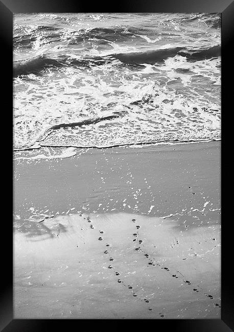 Footprints in the sand. Tenby beach, Wales, UK. Framed Print by Liam Grant