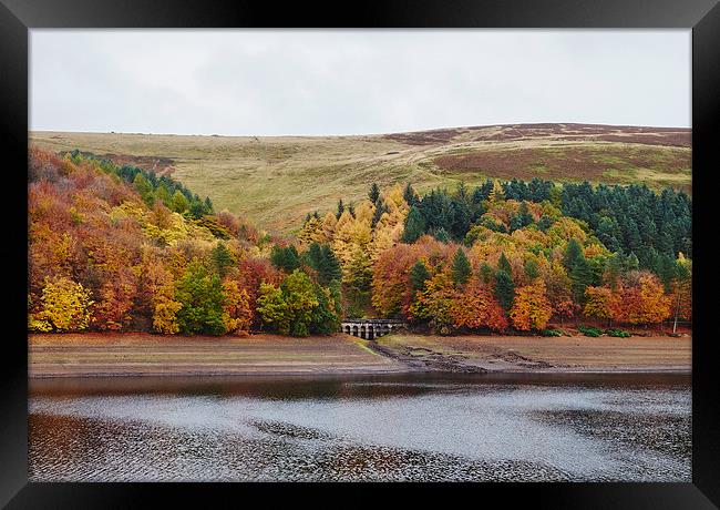 Autumnal trees at Derwent Reservoir. Derbyshire, U Framed Print by Liam Grant